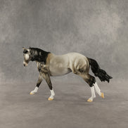 Honeynut Squash OOAK FCM Remington by Dawn Quick DDOOAKs26