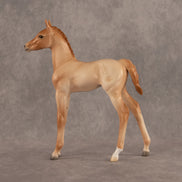 New Horizons OOAK FCM Arabian Foal by Ellen Robbins EQ26