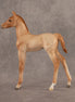 New Horizons OOAK FCM Arabian Foal by Ellen Robbins EQ26