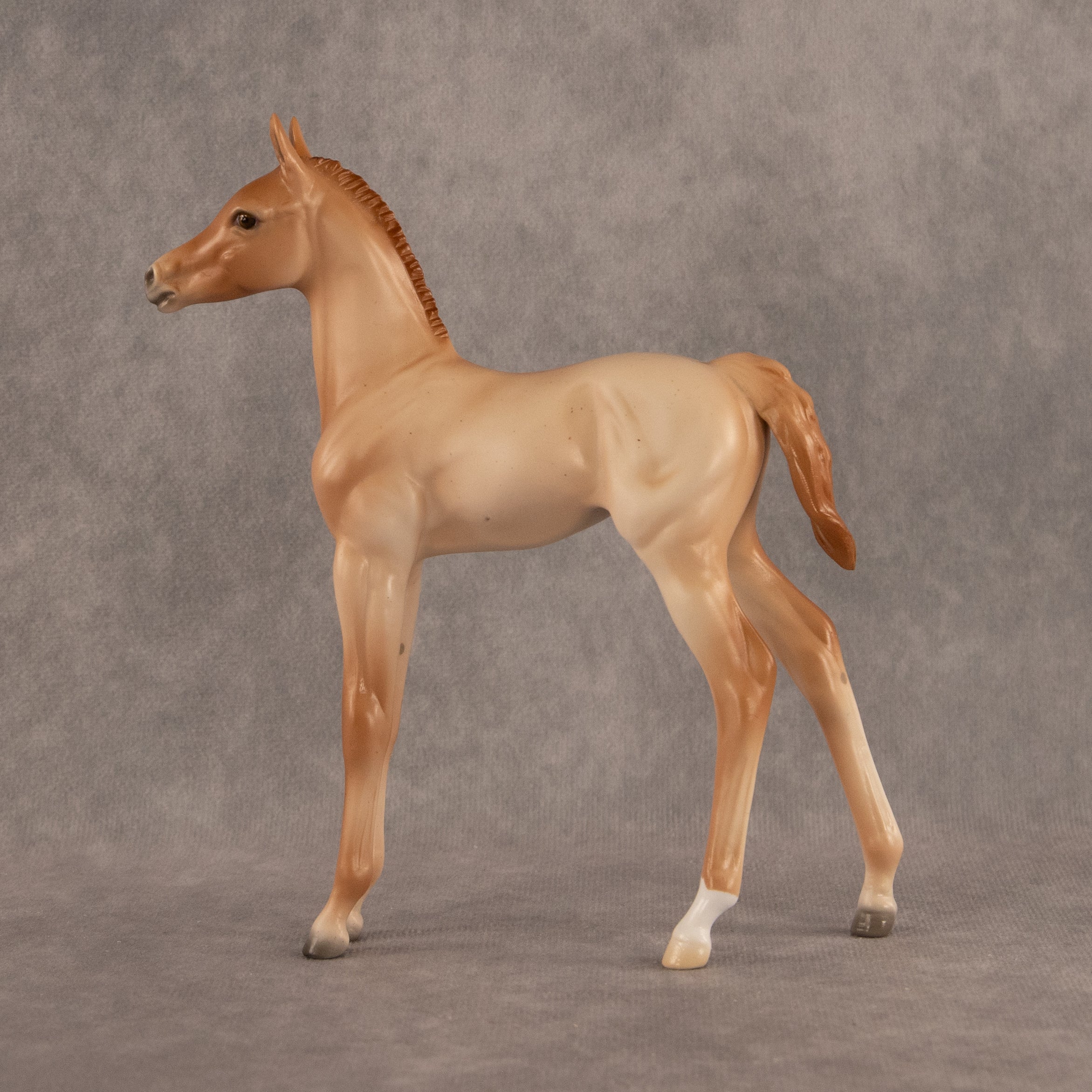 New Horizons OOAK FCM Arabian Foal by Ellen Robbins EQ26