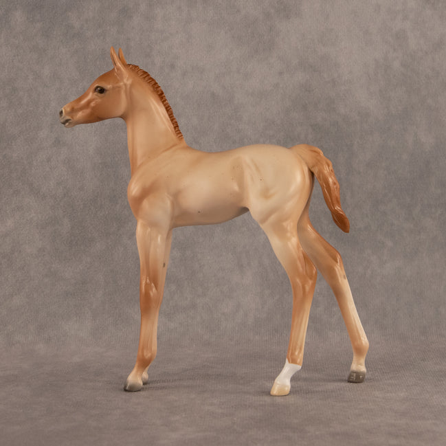 New Horizons OOAK FCM Arabian Foal by Ellen Robbins EQ26