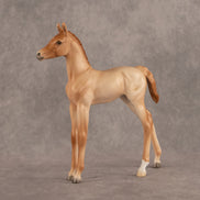 New Horizons OOAK FCM Arabian Foal by Ellen Robbins EQ26