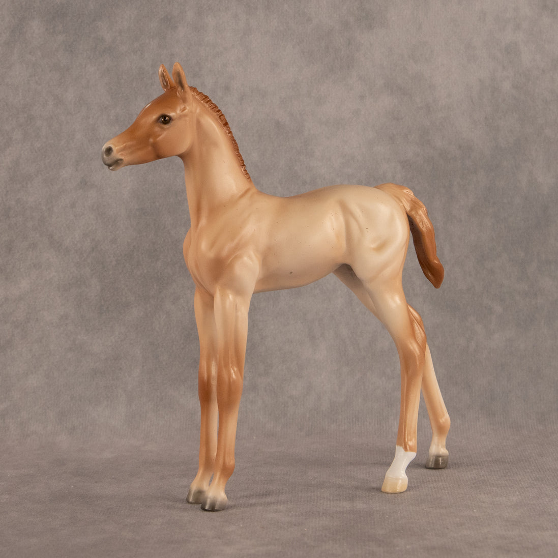 New Horizons OOAK FCM Arabian Foal by Ellen Robbins EQ26