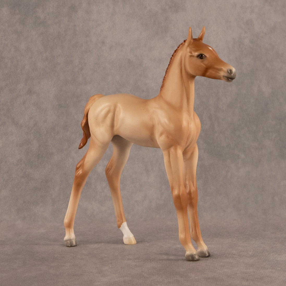 New Horizons OOAK FCM Arabian Foal by Ellen Robbins EQ26