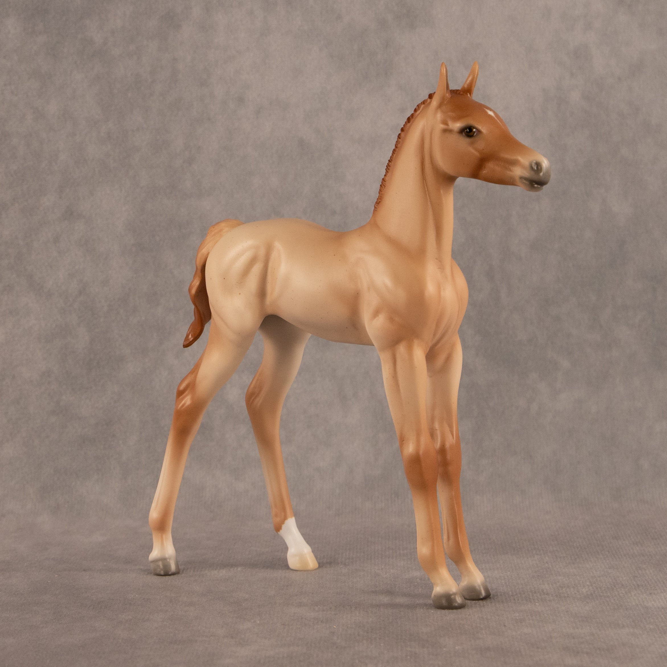New Horizons OOAK FCM Arabian Foal by Ellen Robbins EQ26