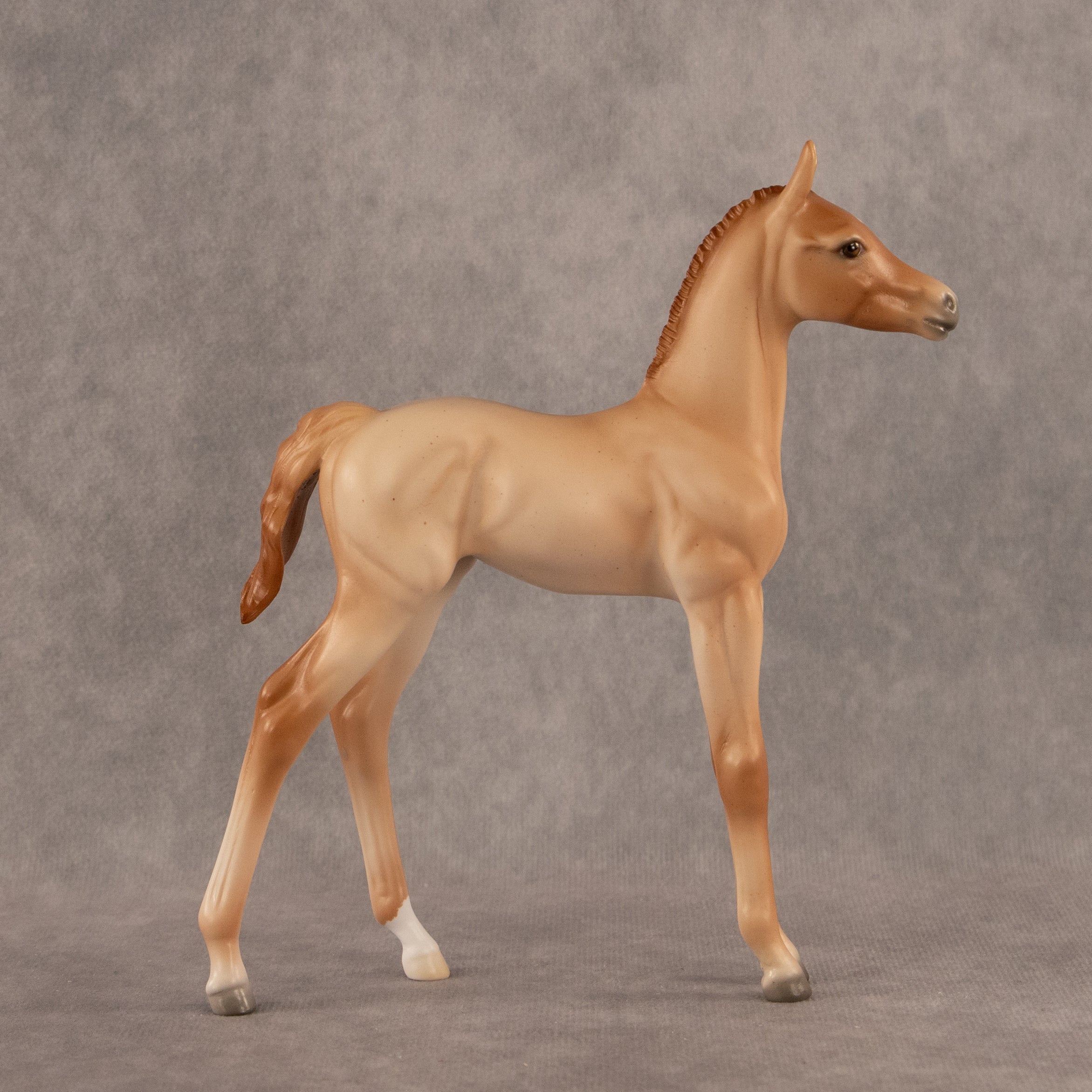 New Horizons OOAK FCM Arabian Foal by Ellen Robbins EQ26