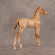 New Horizons OOAK FCM Arabian Foal by Ellen Robbins EQ26