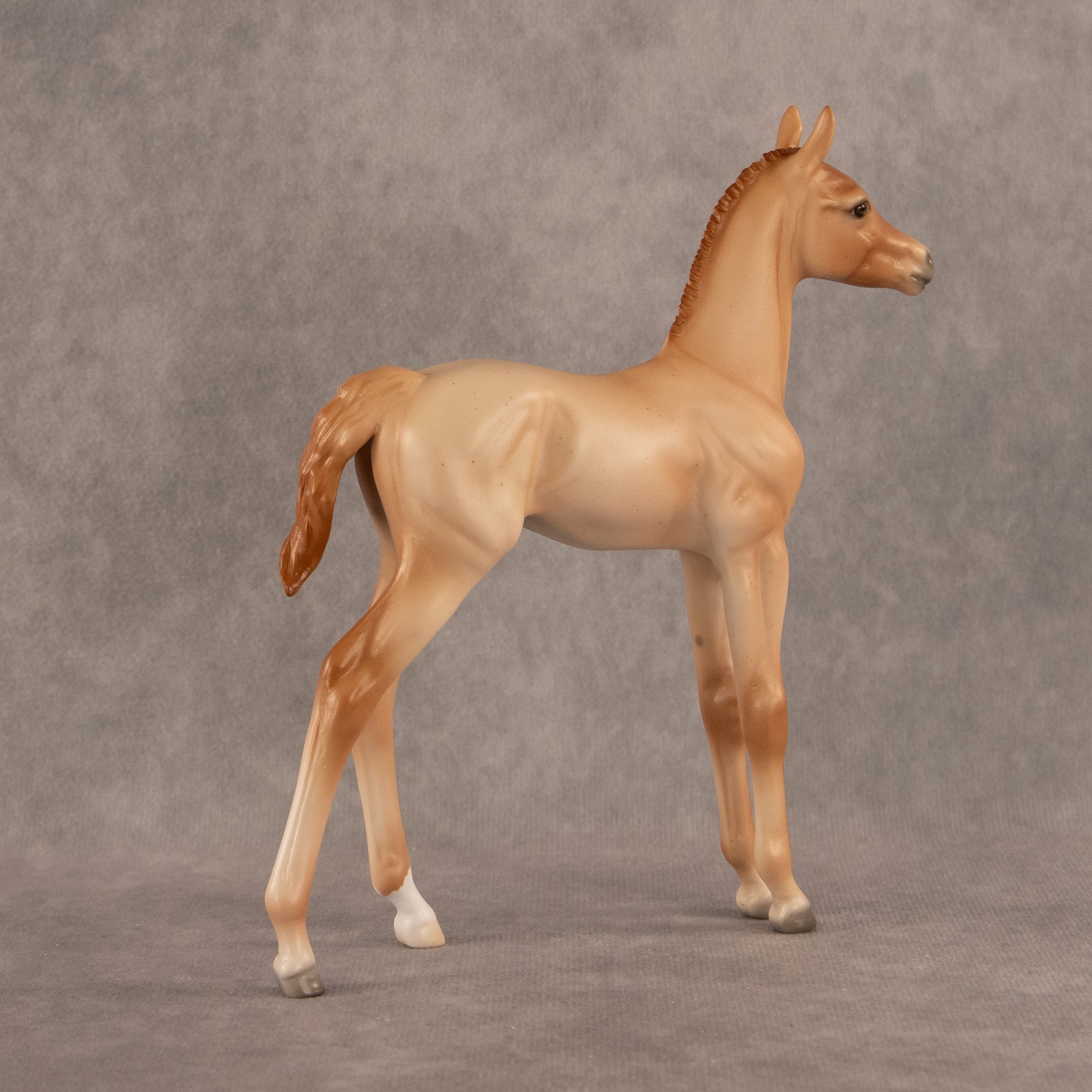 New Horizons OOAK FCM Arabian Foal by Ellen Robbins EQ26