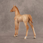 New Horizons OOAK FCM Arabian Foal by Ellen Robbins EQ26