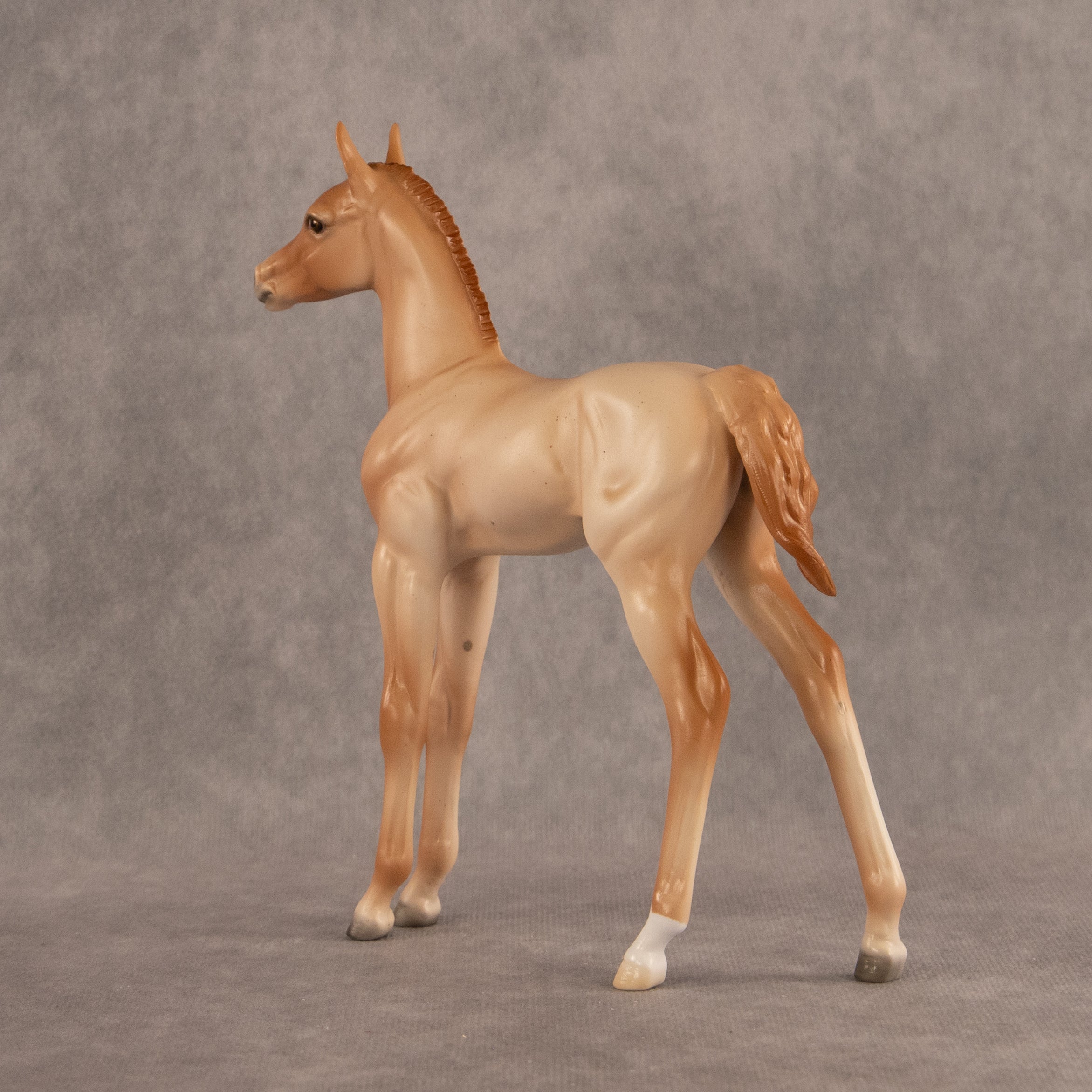 New Horizons OOAK FCM Arabian Foal by Ellen Robbins EQ26