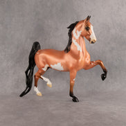 Hot Flamingo OOAK Saddlebred by Alex Fortman DDOOAKs26