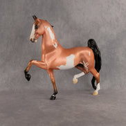 Hot Flamingo OOAK Saddlebred by Alex Fortman DDOOAKs26