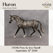 Huron OOAK Pony by Jess Hamill DDOOAKs26
