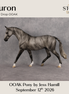 Huron OOAK Pony by Jess Hamill DDOOAKs26