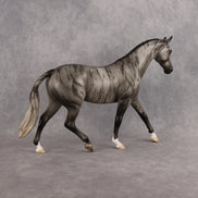Huron OOAK Pony by Jess Hamill DDOOAKs26