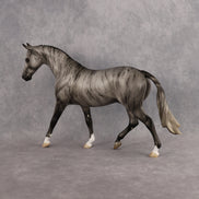 Huron OOAK Pony by Jess Hamill DDOOAKs26