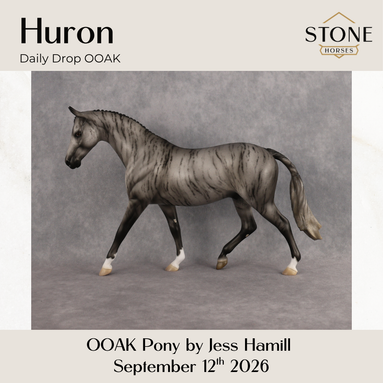 Huron OOAK Pony by Jess Hamill DDOOAKs26