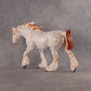 Hurricane OOAK FCM Irish Cob by Madi Wiseman EQ26