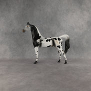Hypnotic OOAK Arabian Stallion by Anna Rieck EQ26