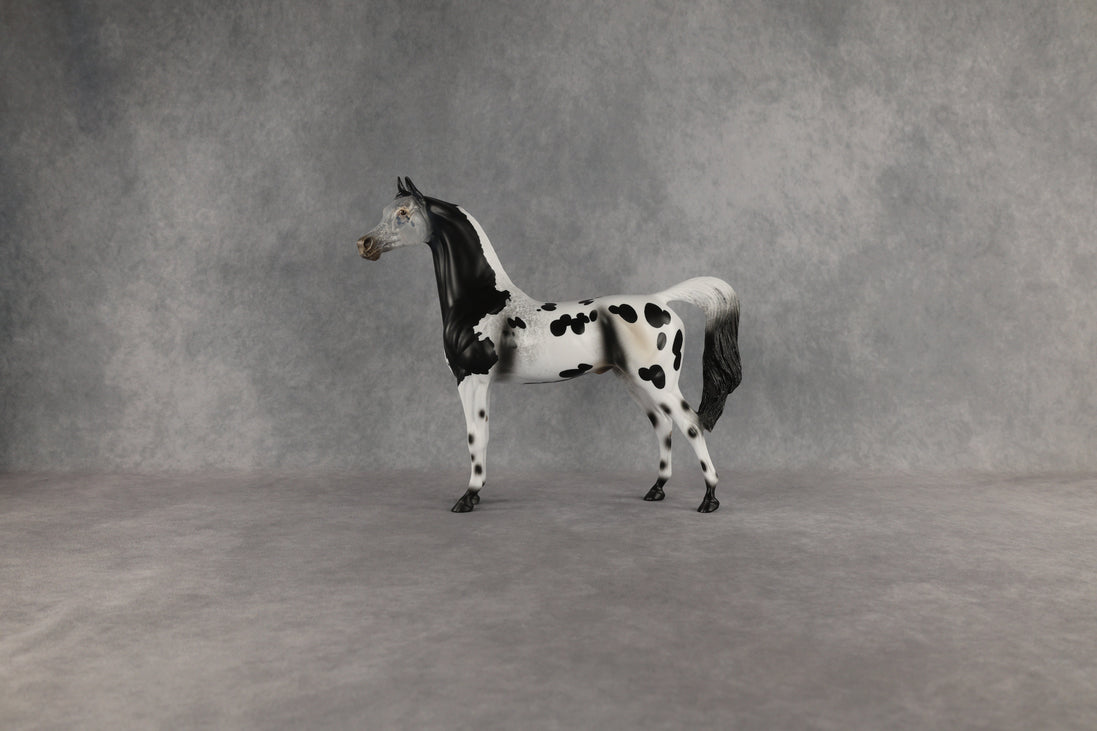 Hypnotic OOAK Arabian Stallion by Anna Rieck EQ26