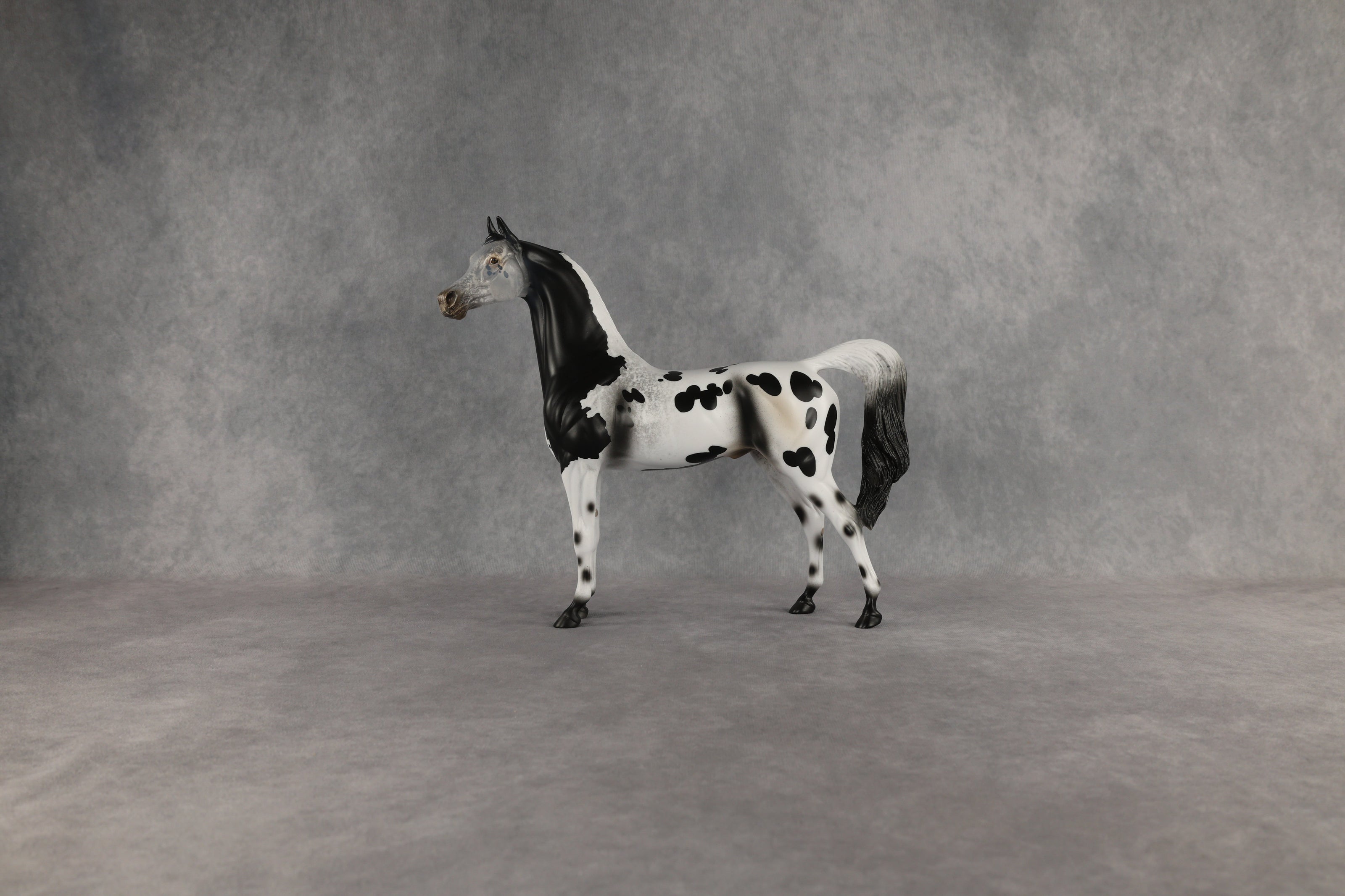 Hypnotic OOAK Arabian Stallion by Anna Rieck EQ26