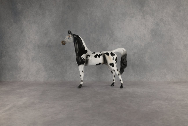 Hypnotic OOAK Arabian Stallion by Anna Rieck EQ26