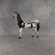 Hypnotic OOAK Arabian Stallion by Anna Rieck EQ26
