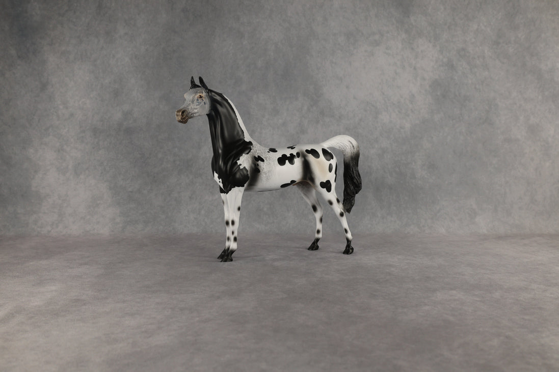 Hypnotic OOAK Arabian Stallion by Anna Rieck EQ26