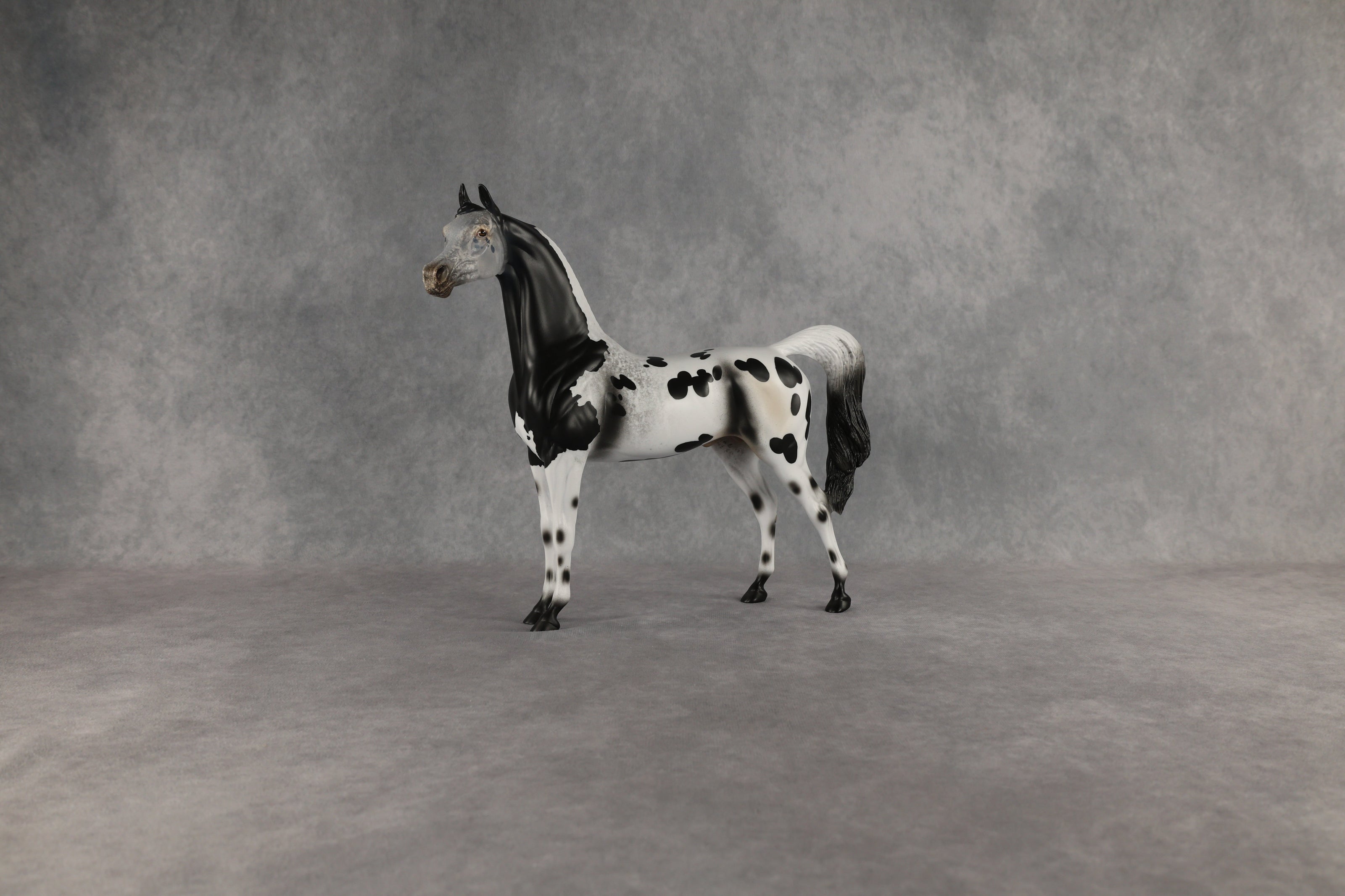 Hypnotic OOAK Arabian Stallion by Anna Rieck EQ26