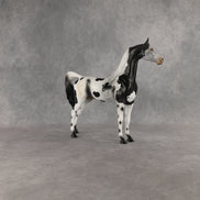Hypnotic OOAK Arabian Stallion by Anna Rieck EQ26