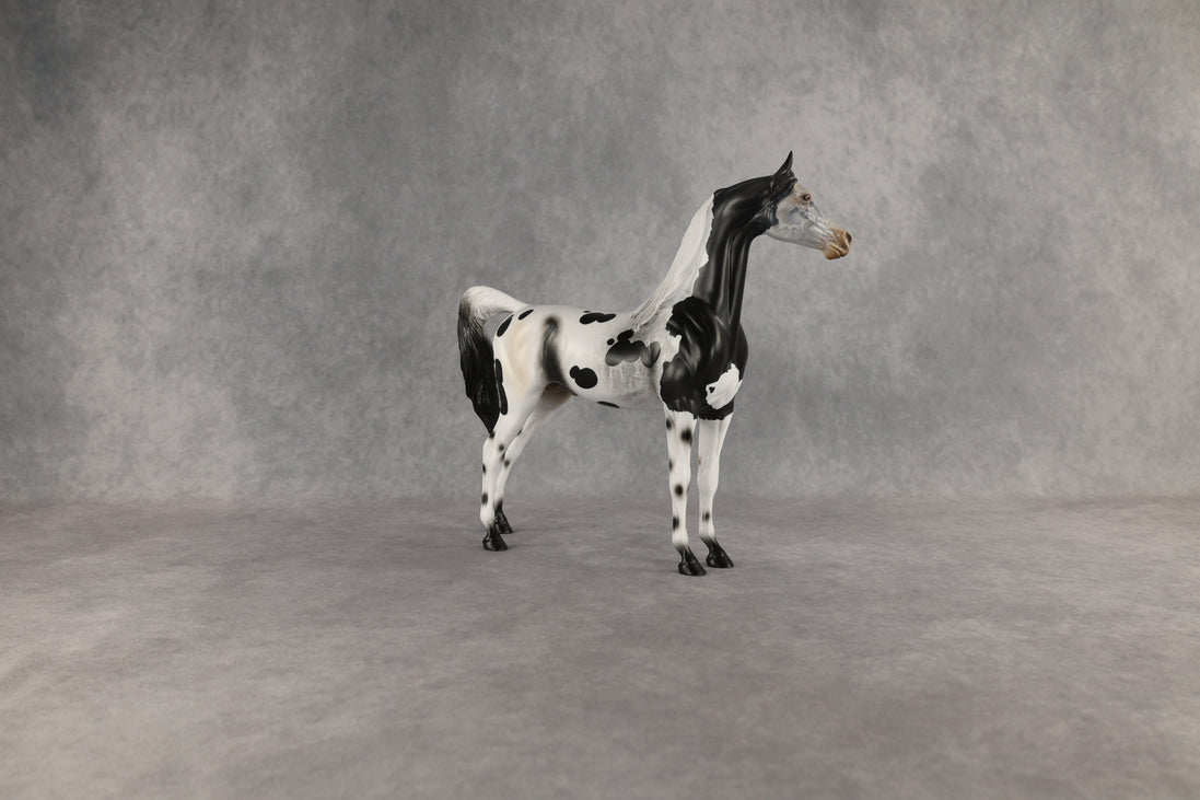 Hypnotic OOAK Arabian Stallion by Anna Rieck EQ26