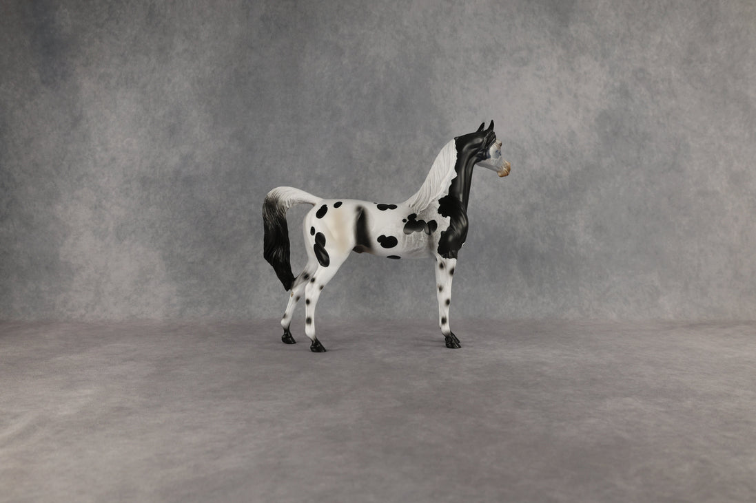 Hypnotic OOAK Arabian Stallion by Anna Rieck EQ26