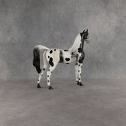 Hypnotic OOAK Arabian Stallion by Anna Rieck EQ26