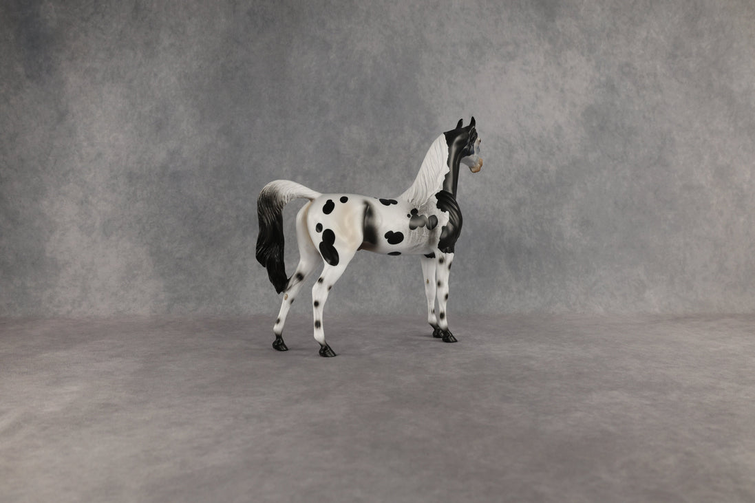 Hypnotic OOAK Arabian Stallion by Anna Rieck EQ26