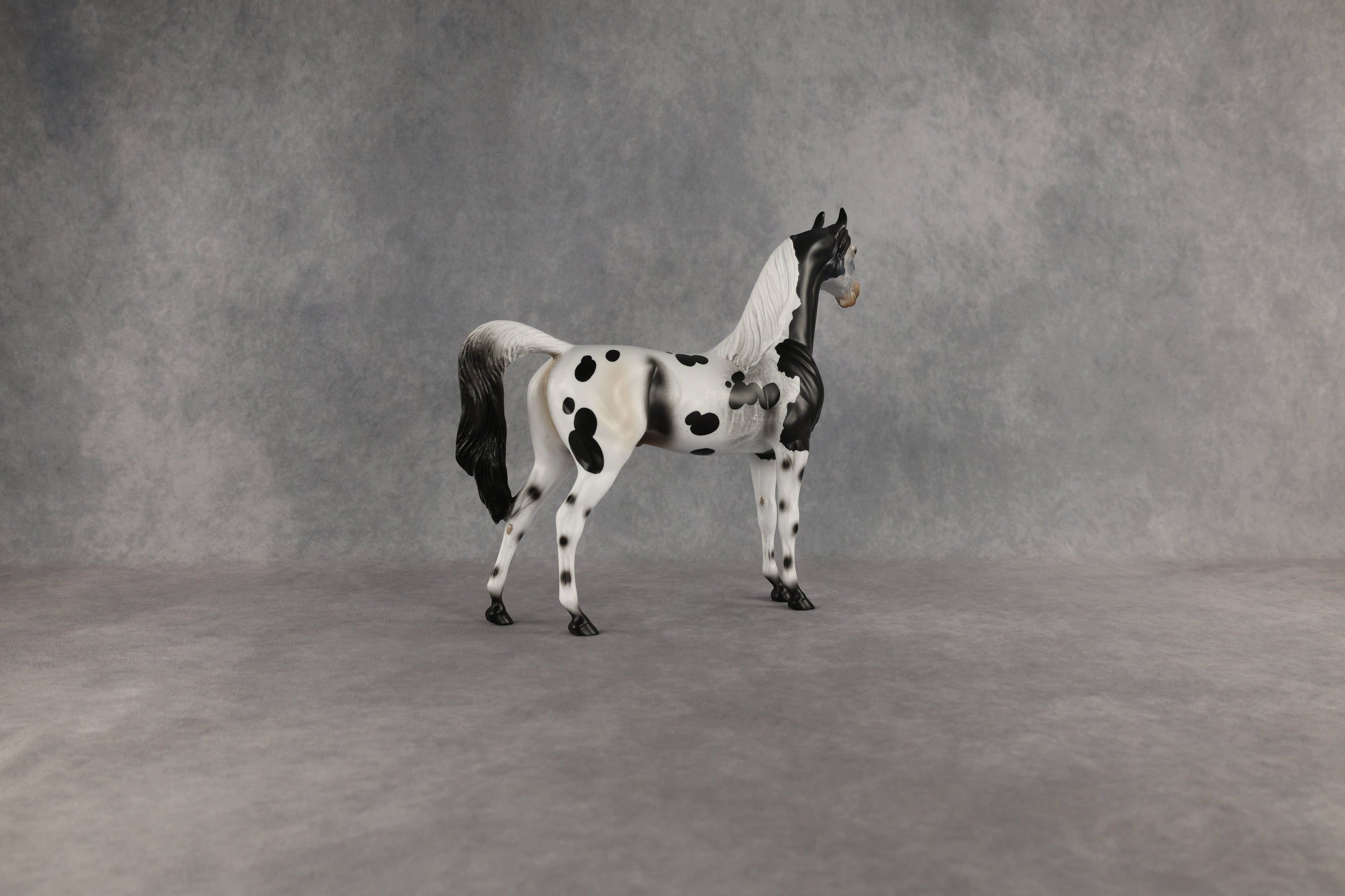 Hypnotic OOAK Arabian Stallion by Anna Rieck EQ26