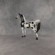 Hypnotic OOAK Arabian Stallion by Anna Rieck EQ26