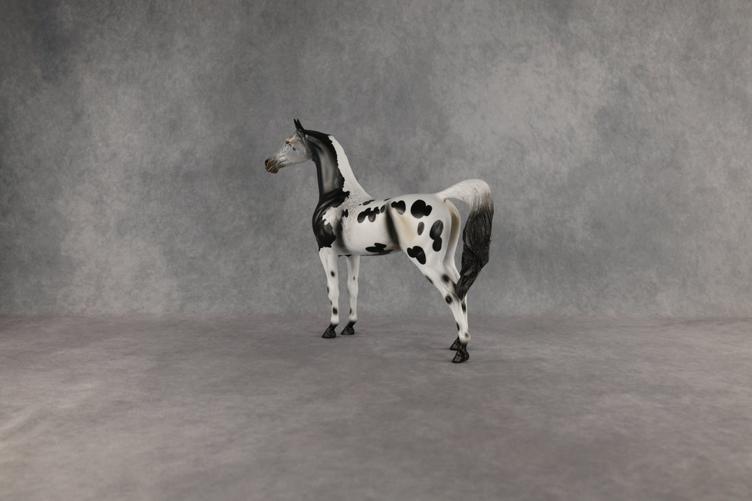 Hypnotic OOAK Arabian Stallion by Anna Rieck EQ26