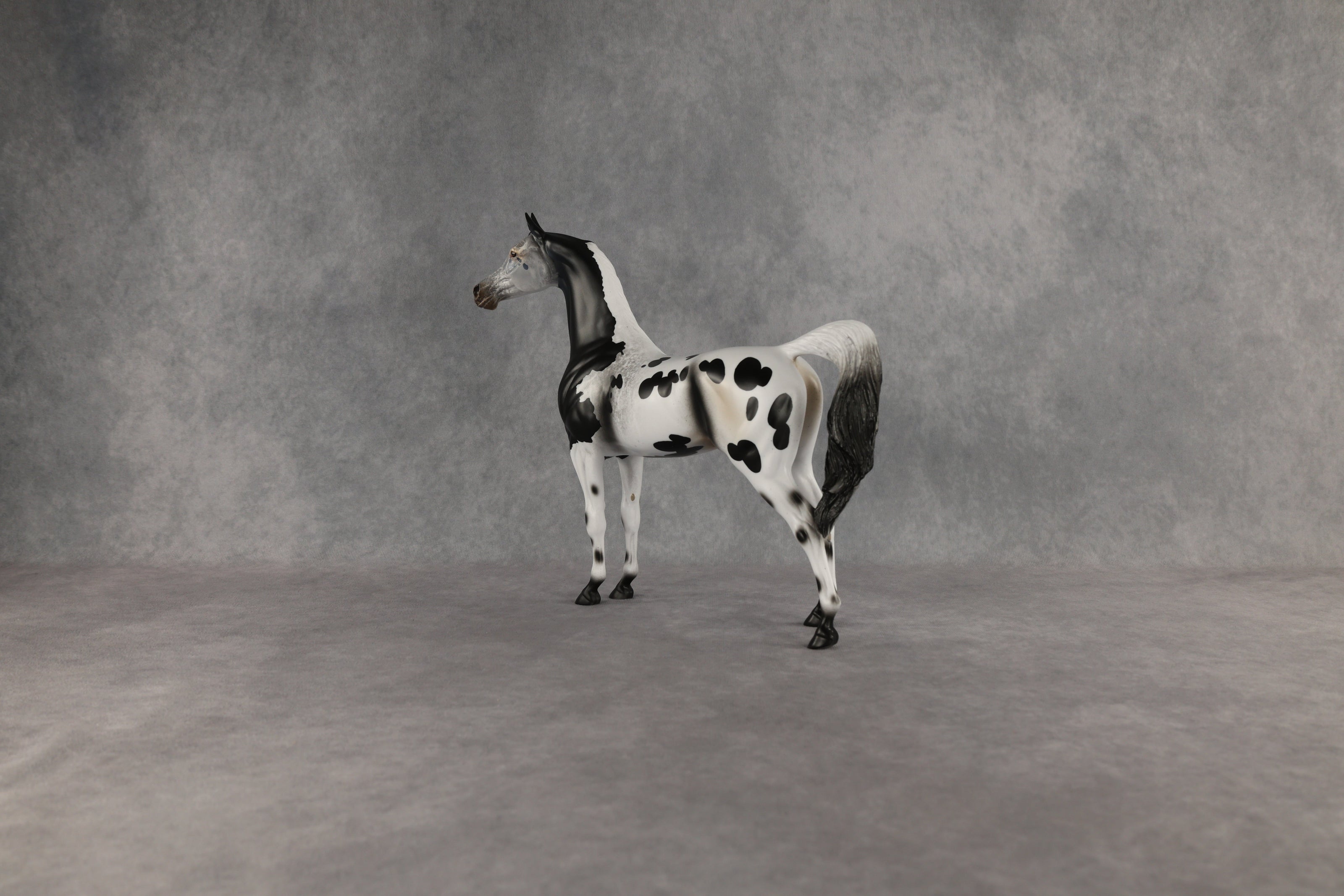 Hypnotic OOAK Arabian Stallion by Anna Rieck EQ26