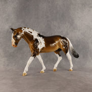 I Can't Wait OOAK Irish Draught by Kristian Beverly SHCF26