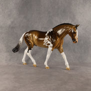 I Can't Wait OOAK Irish Draught by Kristian Beverly SHCF26