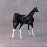 Tommy Too OOAK Black Sabino Arabian Chip by Jamie Adamson HS24