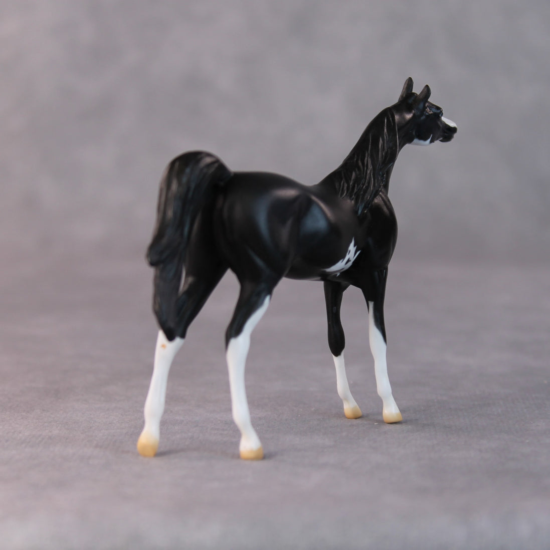 Tommy Too OOAK Black Sabino Arabian Chip by Jamie Adamson HS24