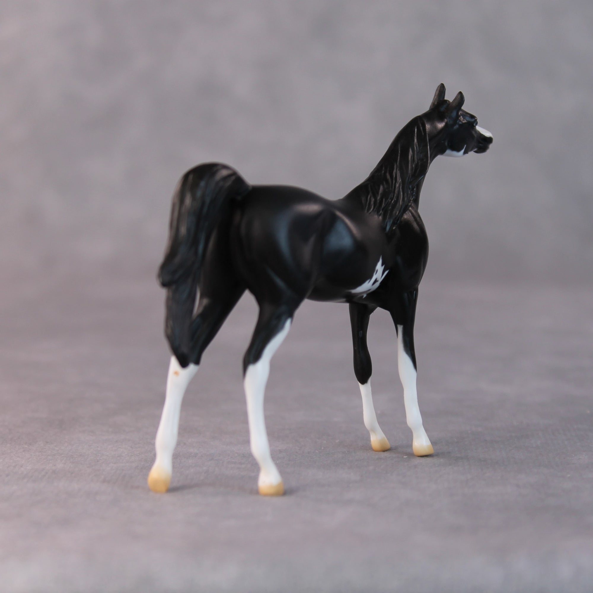 Tommy Too OOAK Black Sabino Arabian Chip by Jamie Adamson HS24