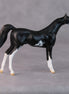 Tommy Too OOAK Black Sabino Arabian Chip by Jamie Adamson HS24