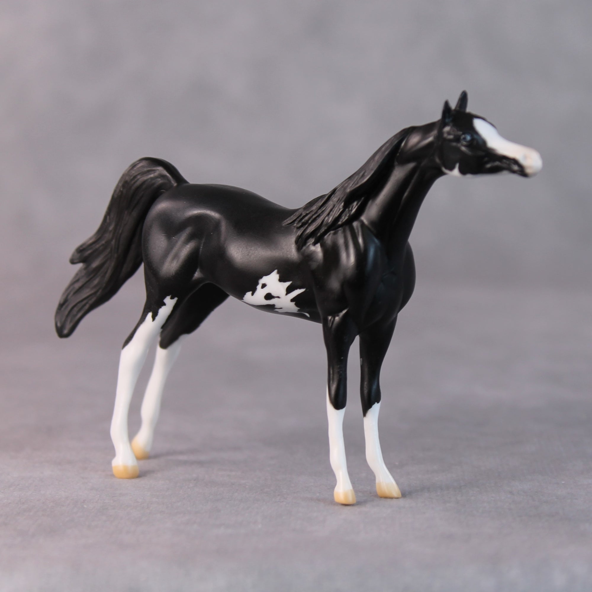 Tommy Too OOAK Black Sabino Arabian Chip by Jamie Adamson HS24