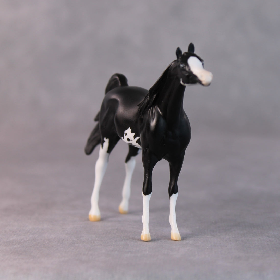 Tommy Too OOAK Black Sabino Arabian Chip by Jamie Adamson HS24