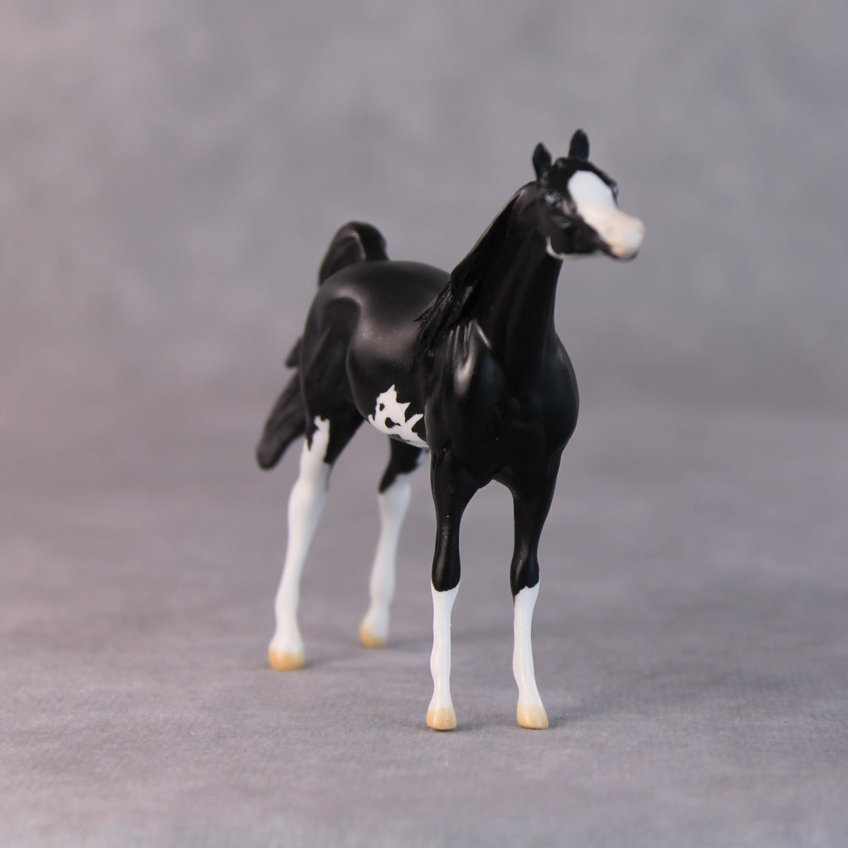 Tommy Too OOAK Black Sabino Arabian Chip by Jamie Adamson HS24