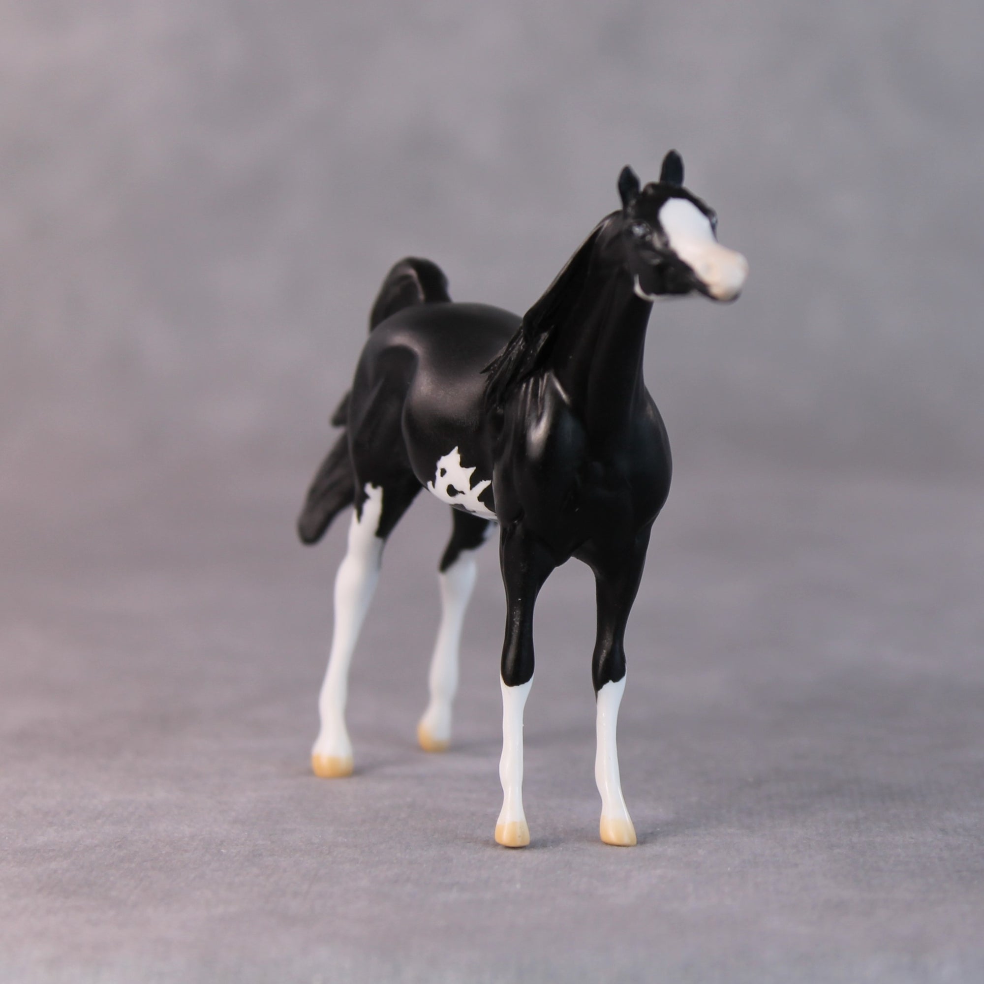 Tommy Too OOAK Black Sabino Arabian Chip by Jamie Adamson HS24