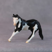 Freddy OOAK Black Pinto Cutter Chip by Jamie Adamson HS24