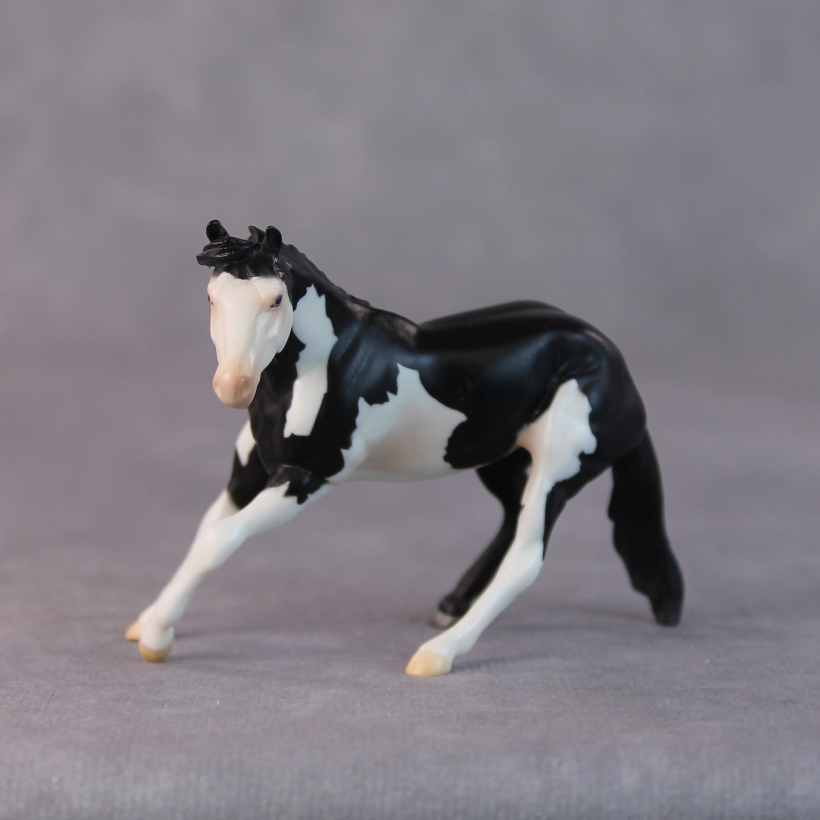 Freddy OOAK Black Pinto Cutter Chip by Jamie Adamson HS24